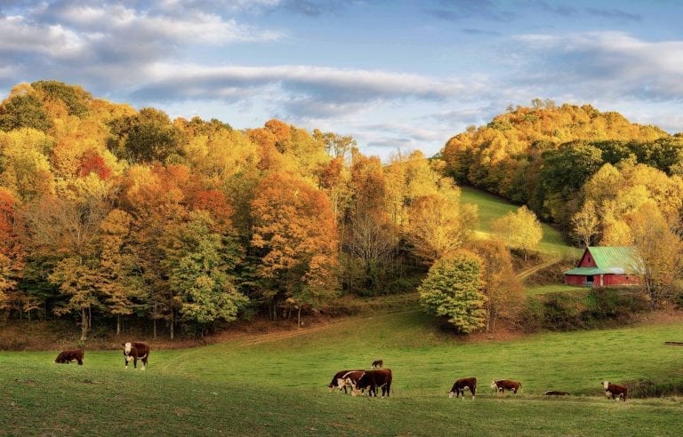 2.11 TAKE A WRITING QUIZ