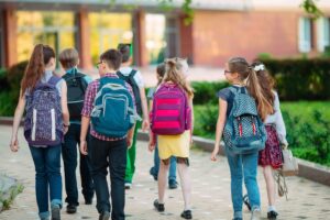 Annual School Subscription