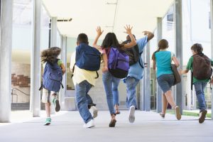 Annual School Subscription