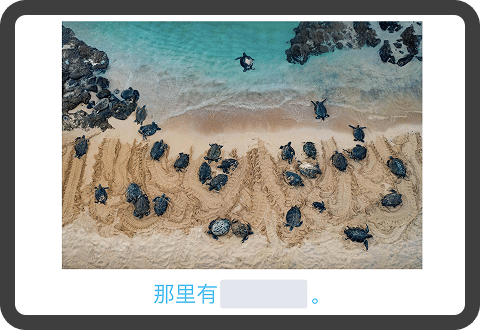 Labelling exercise with real-life image of beach